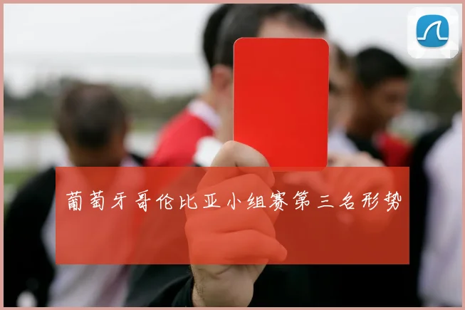 葡萄牙哥伦比亚小组赛第三名形势