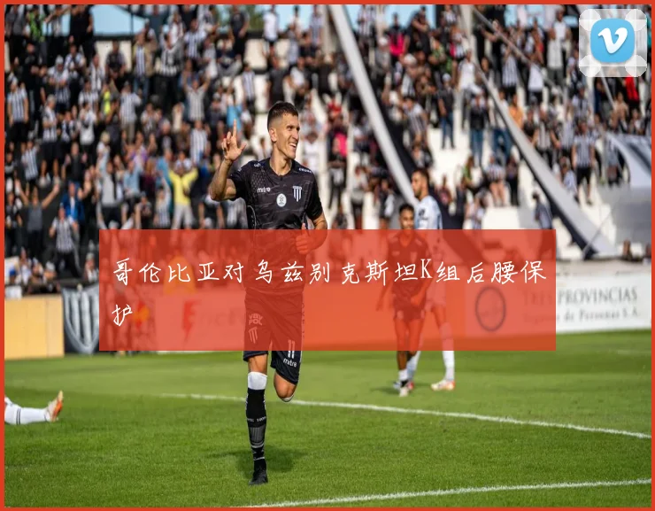 哥伦比亚对乌兹别克斯坦K组后腰保护