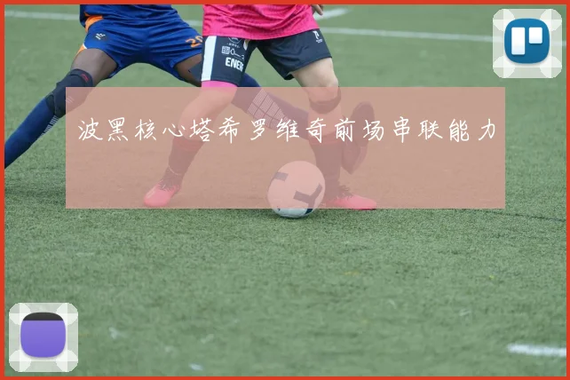 波黑核心塔希罗维奇前场串联能力