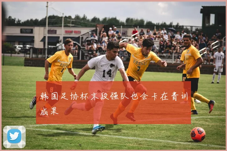 韩国足协杯末段强队也会卡在青训成果