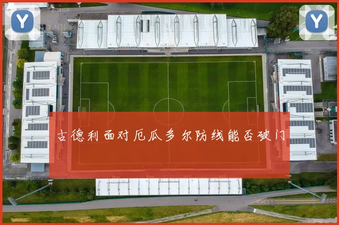 古德利面对厄瓜多尔防线能否破门