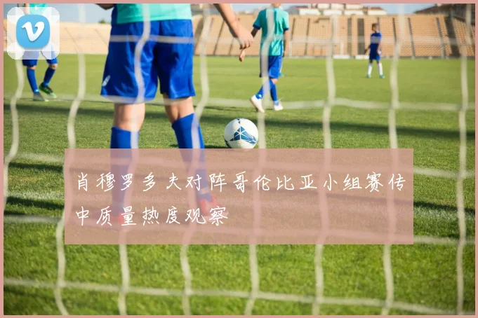 肖穆罗多夫对阵哥伦比亚小组赛传中质量热度观察