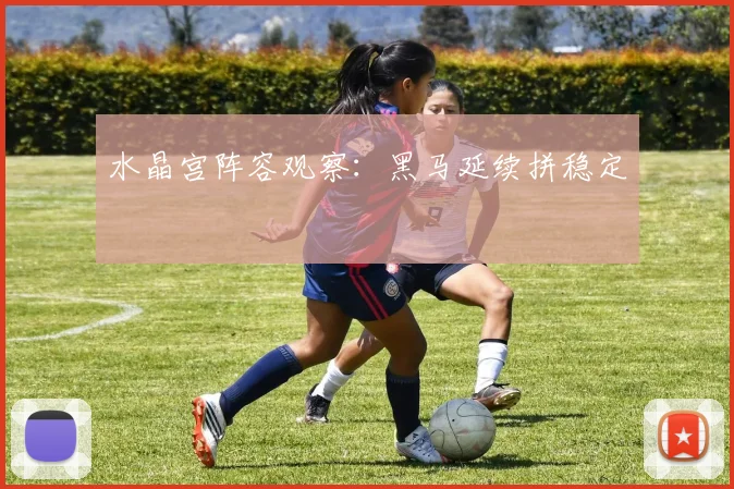 水晶宫阵容观察:黑马延续拼稳定