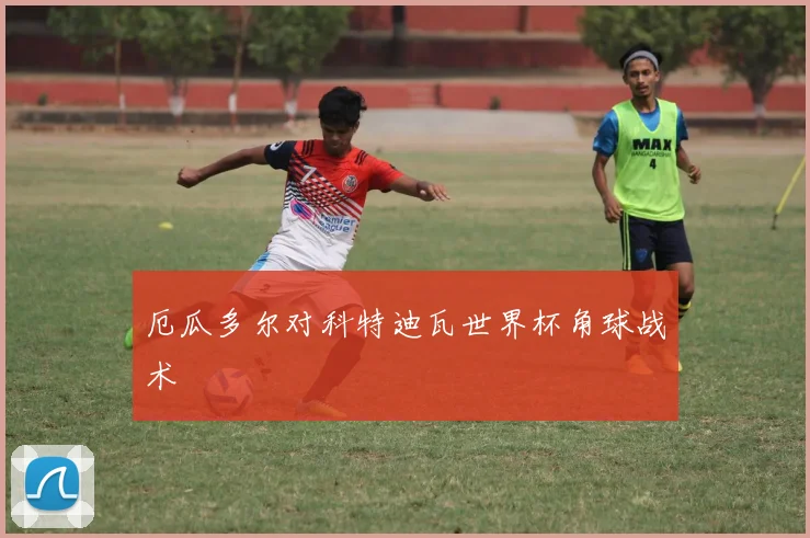 厄瓜多尔对科特迪瓦世界杯角球战术