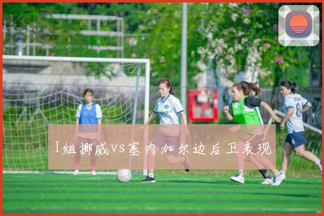 I组挪威vs塞内加尔边后卫表现
