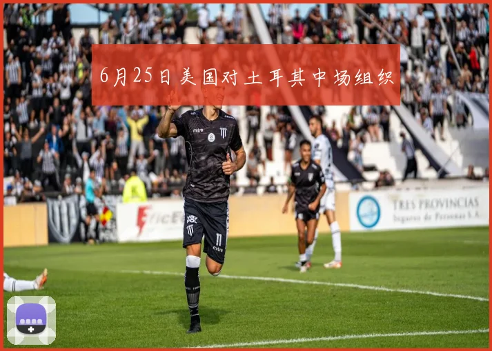 6月25日美国对土耳其中场组织
